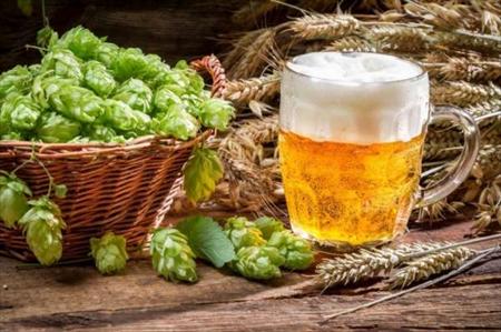 El consumo moderado de cerveza puede tener un efecto feneficioso en la Diabetes  