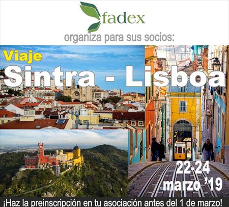 FADEX ORGANIZA VIAJE A SINTRA Y LISBOA
