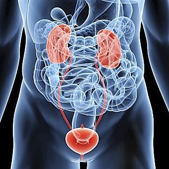 Un cambio en el pronóstico de los diabéticos con daño renal