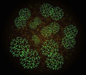 Identifican un nuevo virus causante de la diabetes 