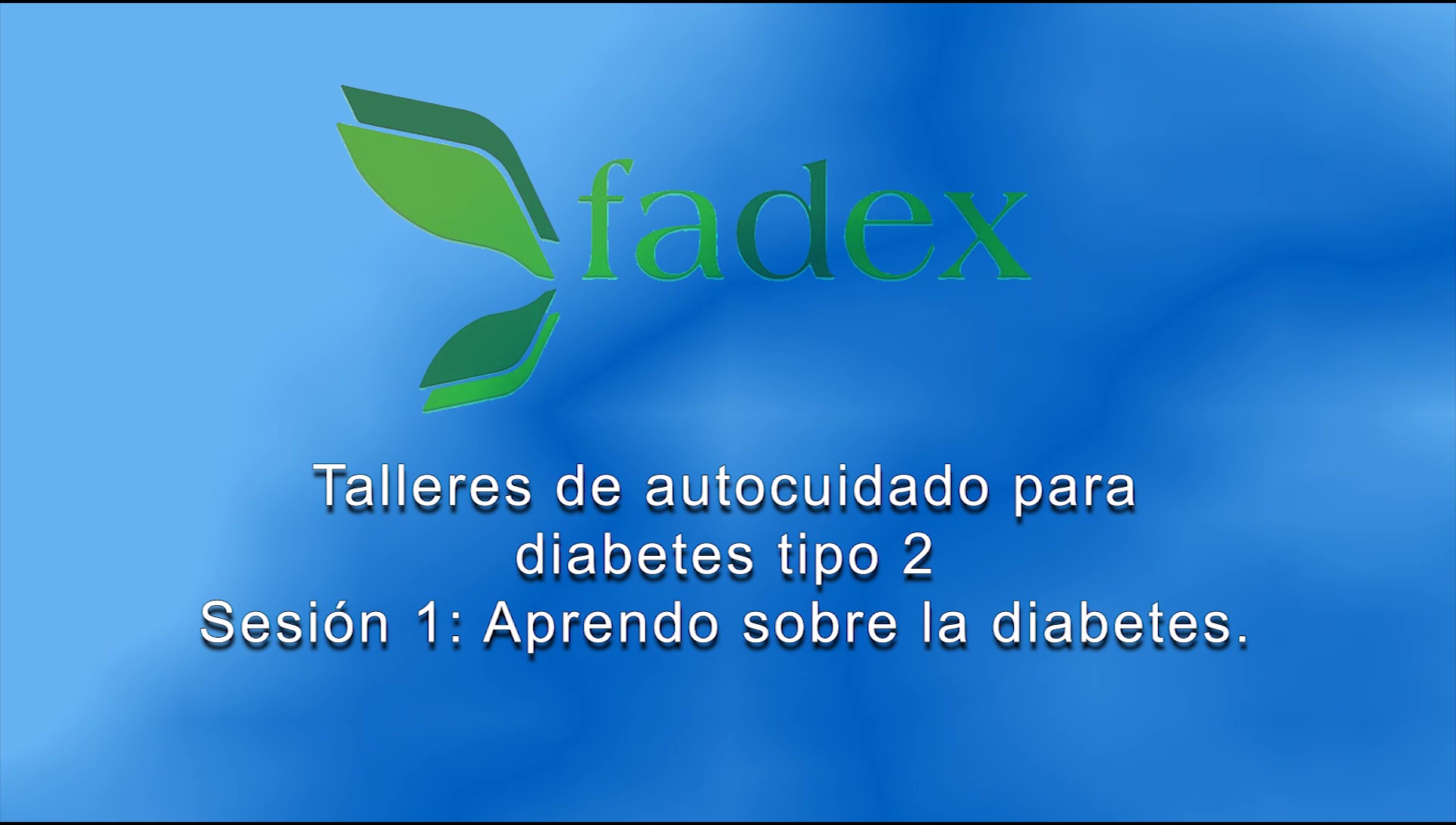 Taller de autocuidado para DM2